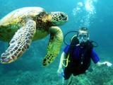 Kauai Scuba Diving